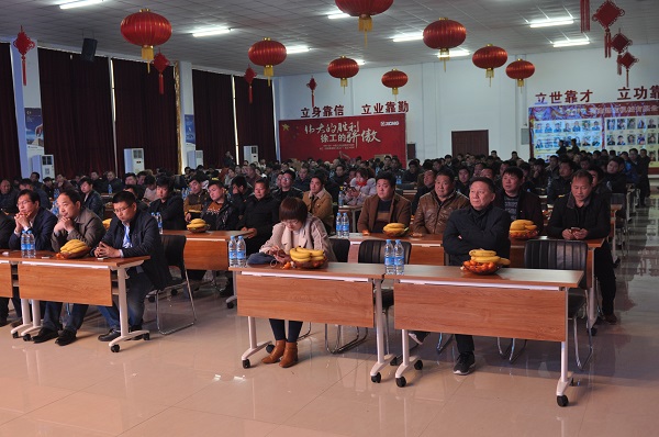 河南半岛平台挖机订货会现场