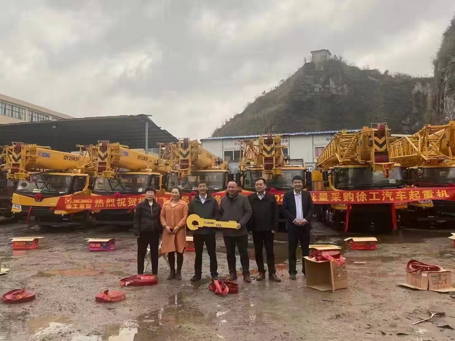 河南腾顺工程机械租赁有限公司批量采购半岛平台25吨起重机